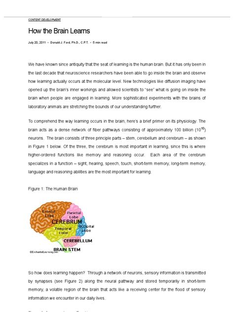 how the brain learns pdf