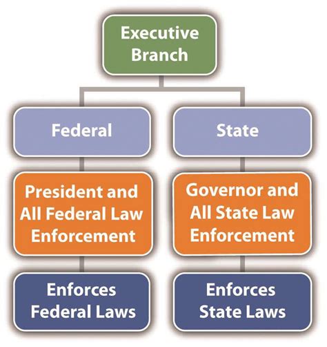 how the executive branch works