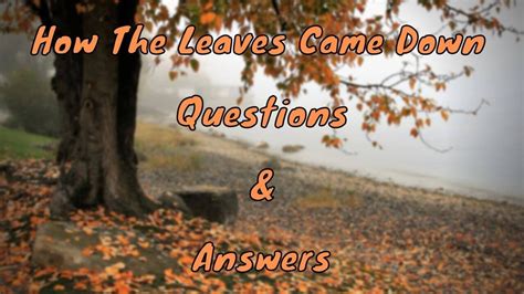 How The Leaves Came Down Questions Amp Answers Leaves Worksheet Answers - Leaves Worksheet Answers