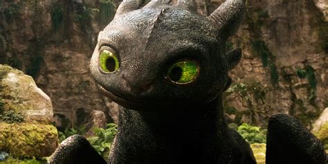 How The Train Your Dragon