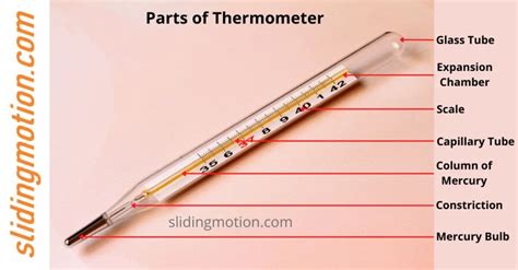 How Thermometers Work Types Of Thermometers Compared Explain Thermometer In Science - Thermometer In Science