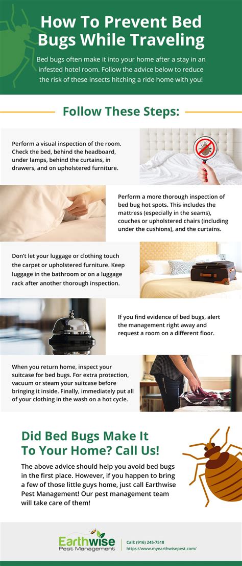 how to avoid bed bugs in hostels