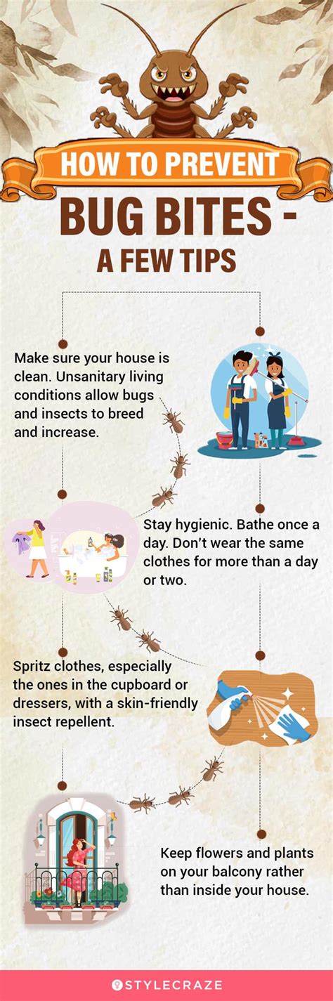 how result avoid spider bites