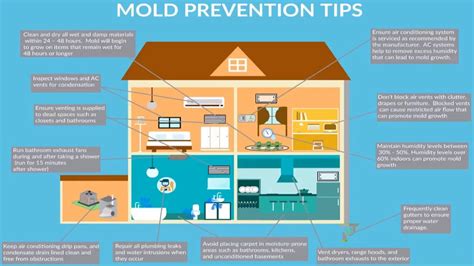 how to avoid molds in room