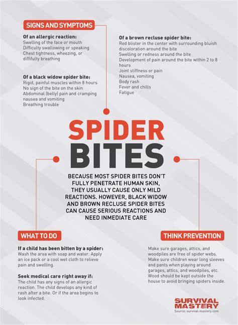 how to avoid spider bites