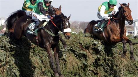 how to bet on grand national online