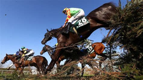 how to bet on the grand national