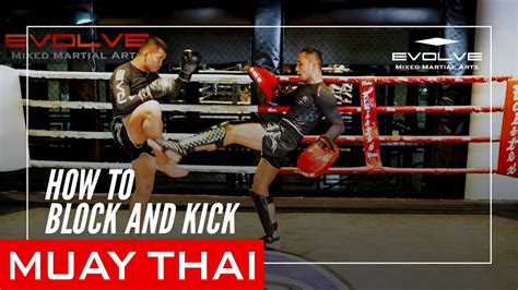 how to block a muay thai kick ball