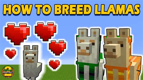 how to breed a llama in minecraft