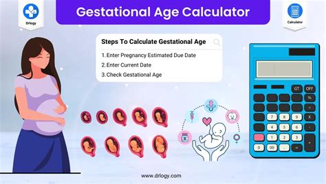 how to calculate gestational age in weeks
