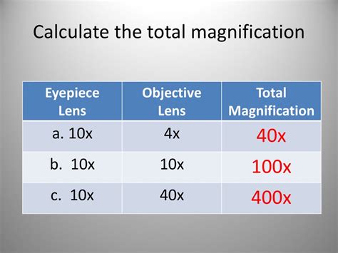 how to calculate the total magnification