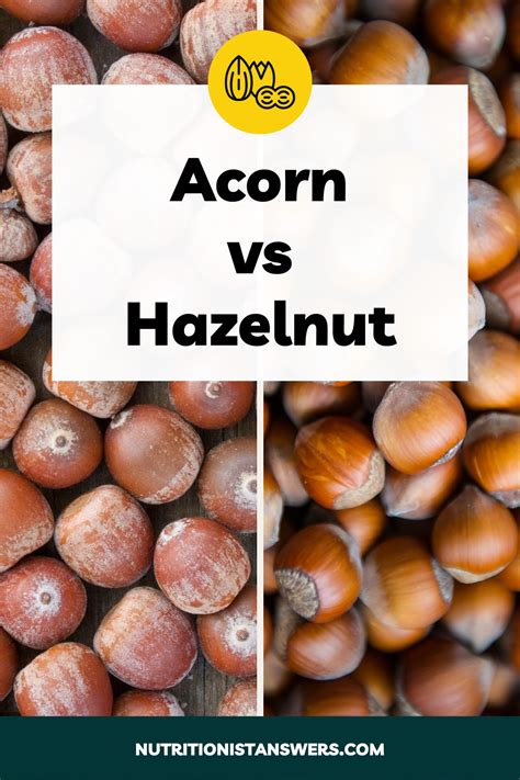 how to crack spiffy tidy up hazelnut