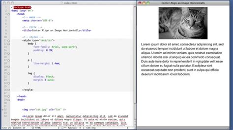 how to center multiple images in css