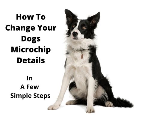 how to change over microchip details