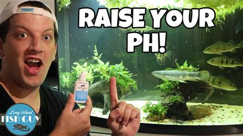 how to change ph in fish tank