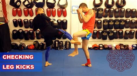 how to check a low kick