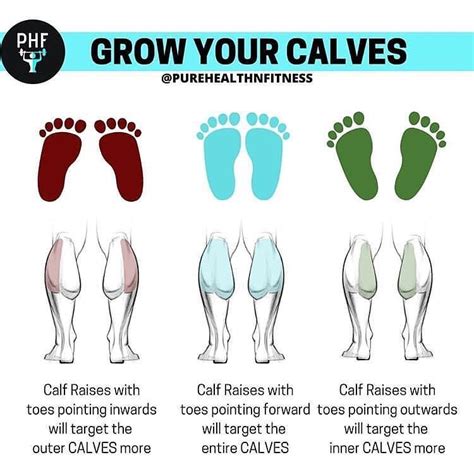 how to check calf kickstarter weight