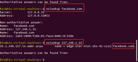 how to check dns in linux command