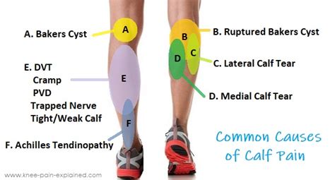 how to check kick to lower calf pain
