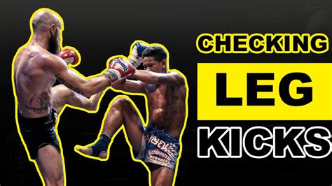 how to check kicks muay thai online booking