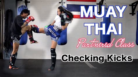 how to check kicks muay thai visa status