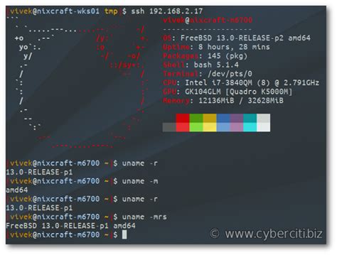 how to check os version in solaris