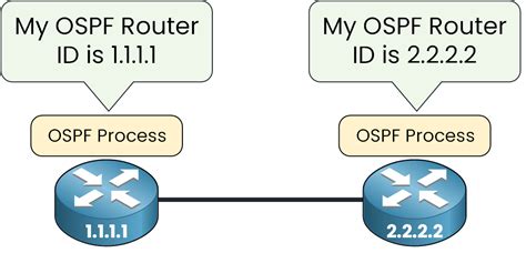 how to check router id in ospf