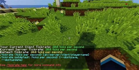 how to check ticks per second minecraft map