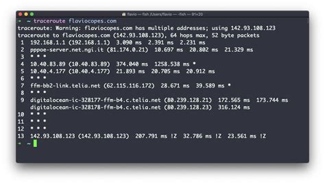 how to check traceroute in linux