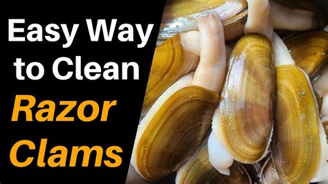 how to clean razor clams in shell