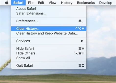 how to clear history in safari browser