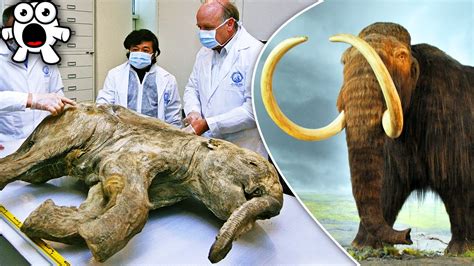how to clone a mammoth the science of de extincti