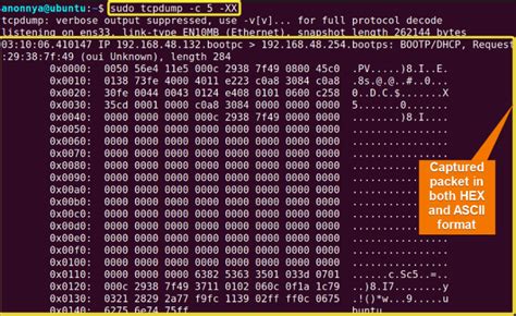 how to collect tcpdump in linux