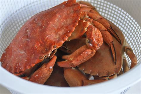 how to cook red rock crab? - Test Food Kitchen