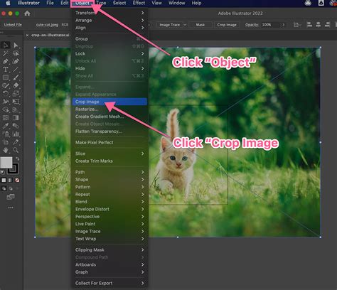 how to crop out image in illustrator
