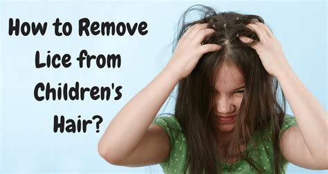 how to cure head lice in toddlers without