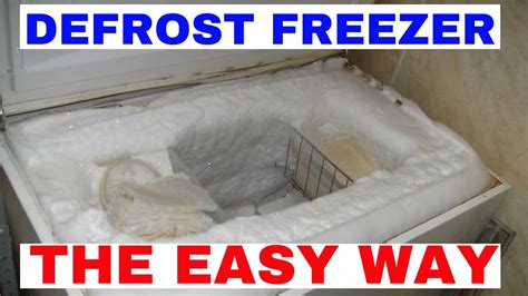 How To Deep Freeze An Entire Organ And Frozen Science - Frozen Science