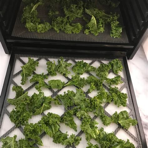 how to dehydrate kale in oven