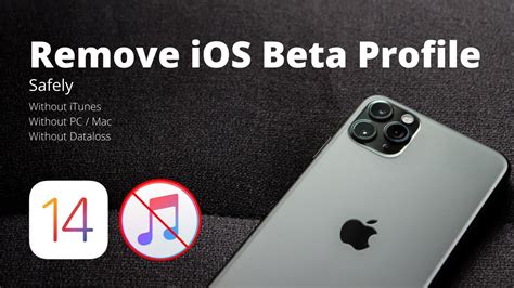 how to delete ios 14 beta update without computer