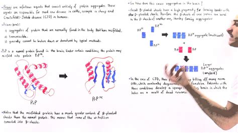 how to destroy prions