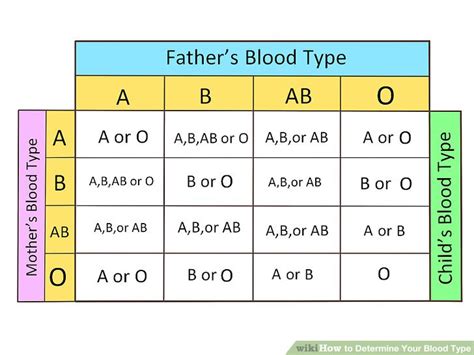 how to determine blood type chart