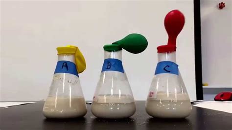 How To Do A Yeast Experiment To See Yeast Science Experiment - Yeast Science Experiment
