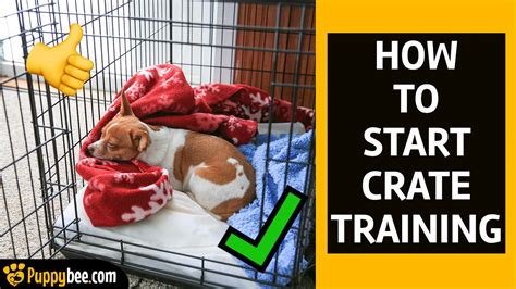 how to better crate training