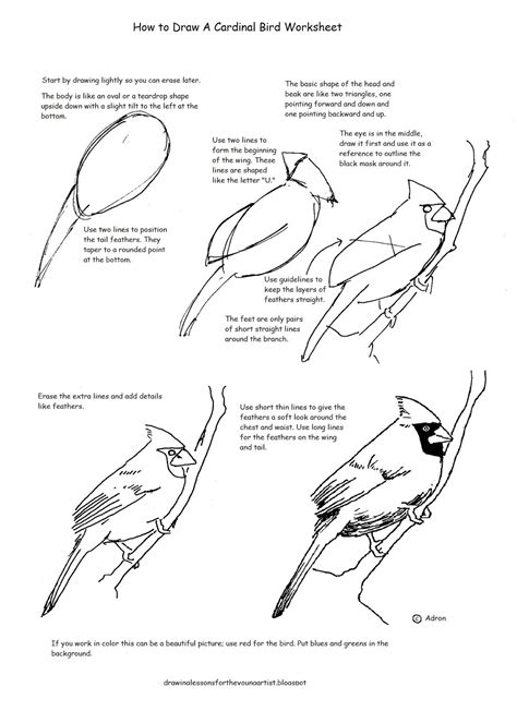 How To Draw A Bird Worksheets 99worksheets Worksheet On Birds - Worksheet On Birds