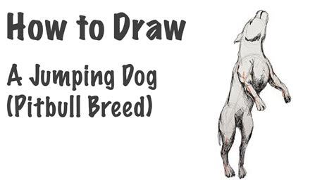 how to draw a dog jumping