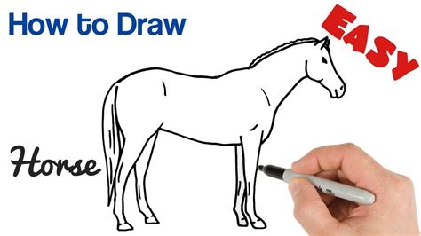how to draw a girl and horse youtube