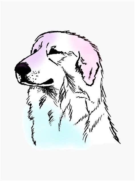 how to draw a great pyrenees easy howtowrapflowerstutorials