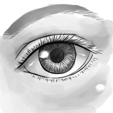 How To Draw A Human Eye Worksheet Dawnu0027s The Eye Worksheet - The Eye Worksheet