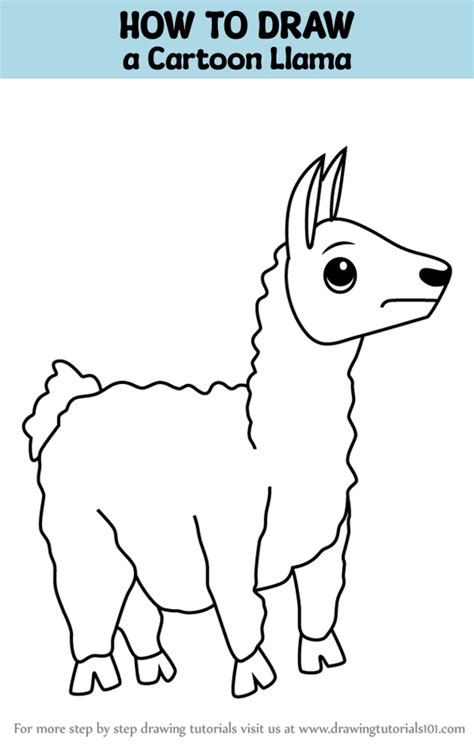 how to draw a llama cartoon