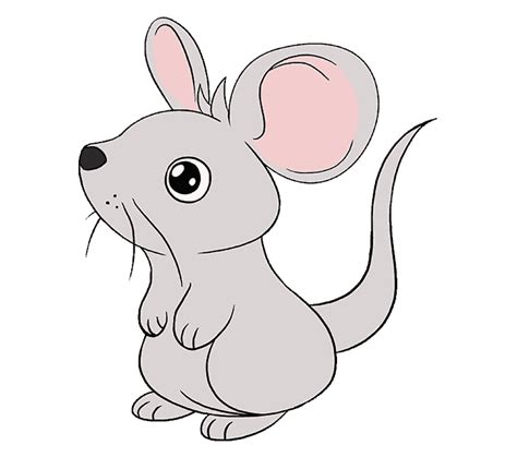 How To Draw A Mouse Easy Cartoon Mouse Mouse Drawing For Kids - Mouse Drawing For Kids